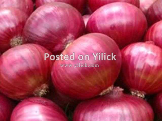 Onions for sale
