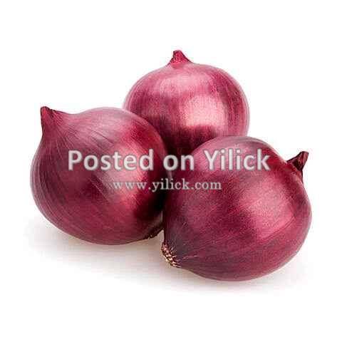Onions for sale