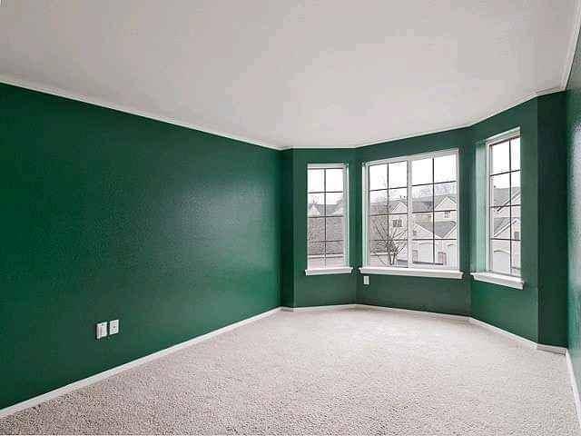 Painters available near you