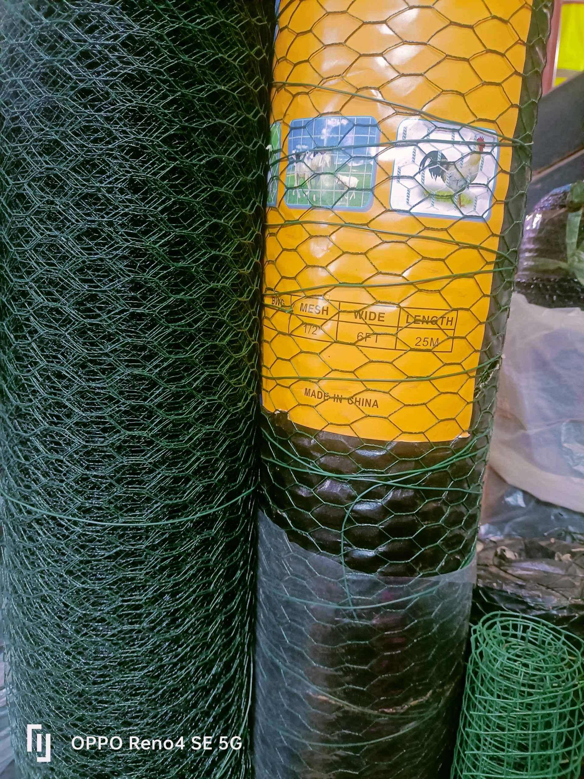 Coated chicken mesh