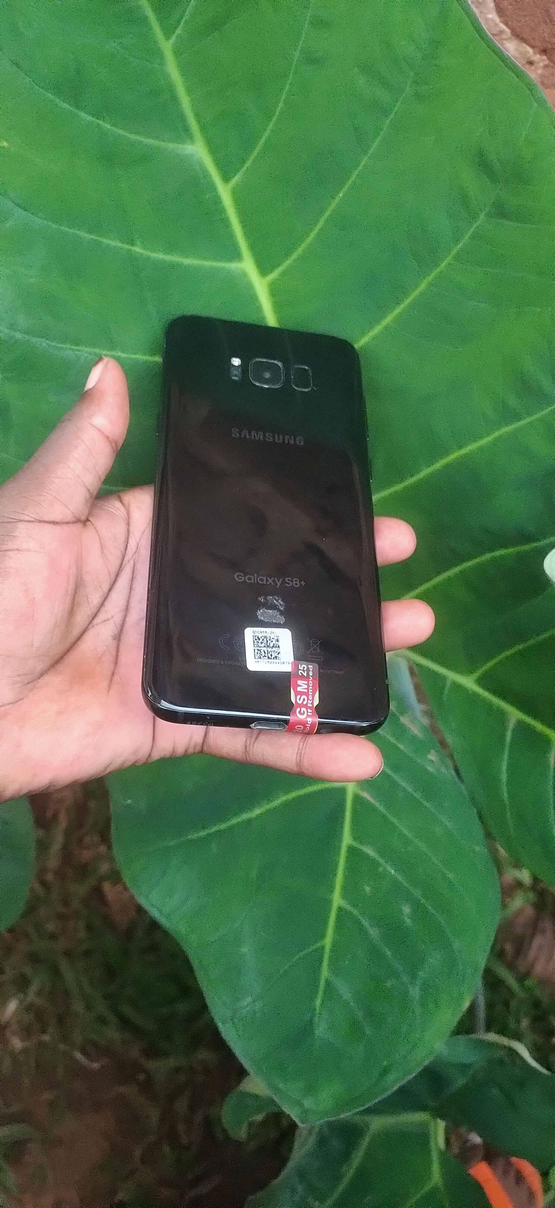 Samsung Galaxy S8+
