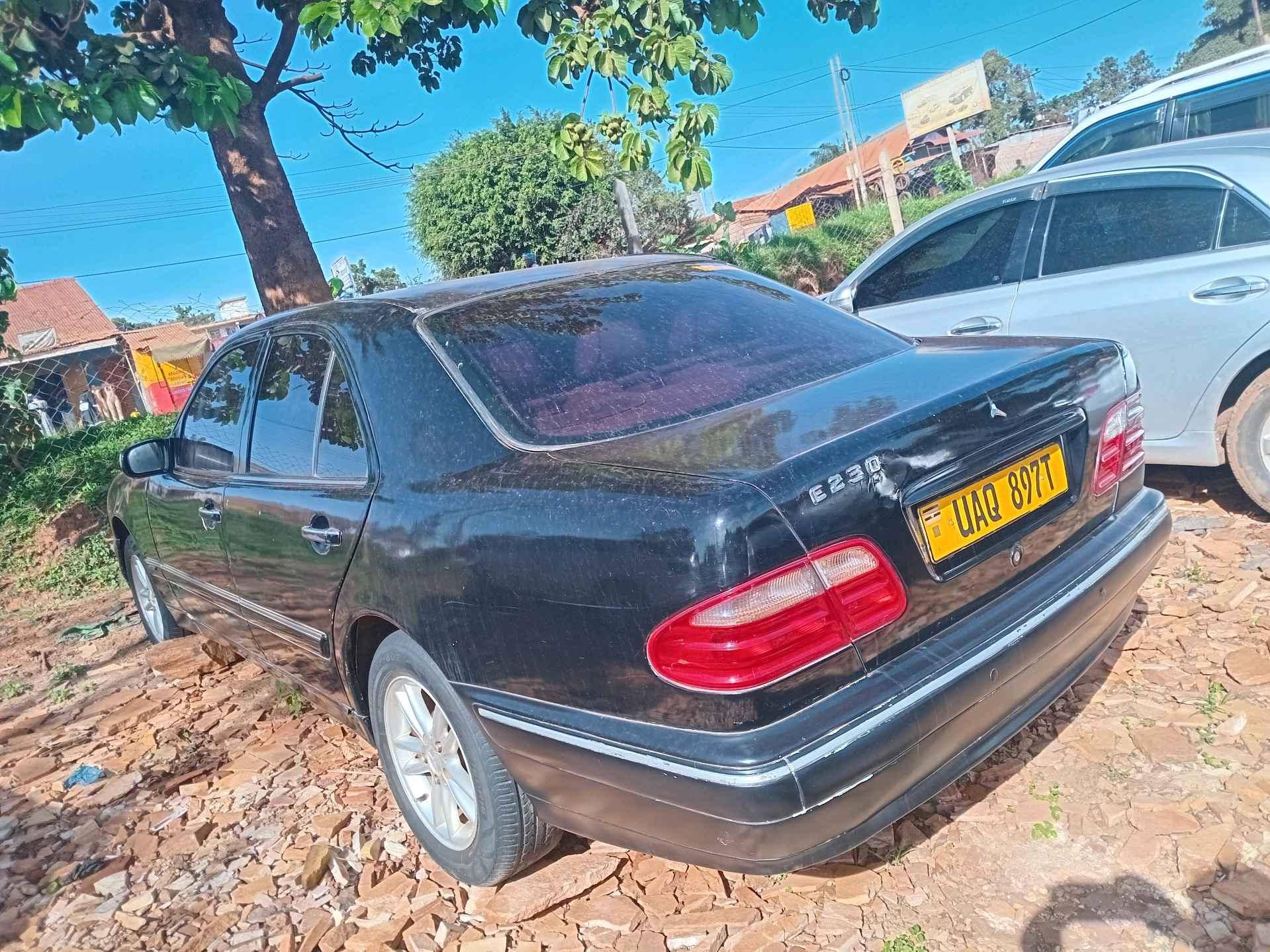 car's for sale