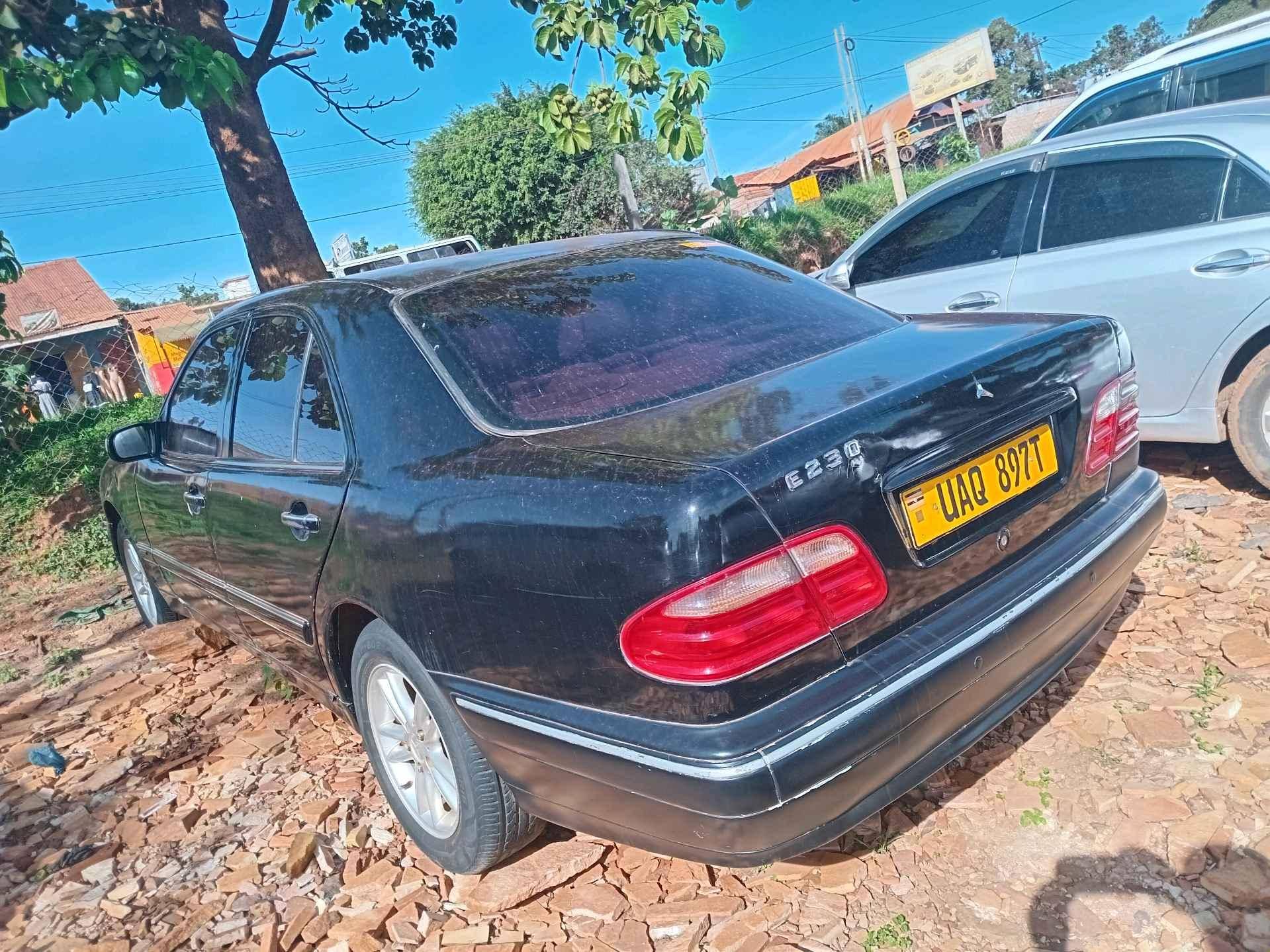 car's for sale