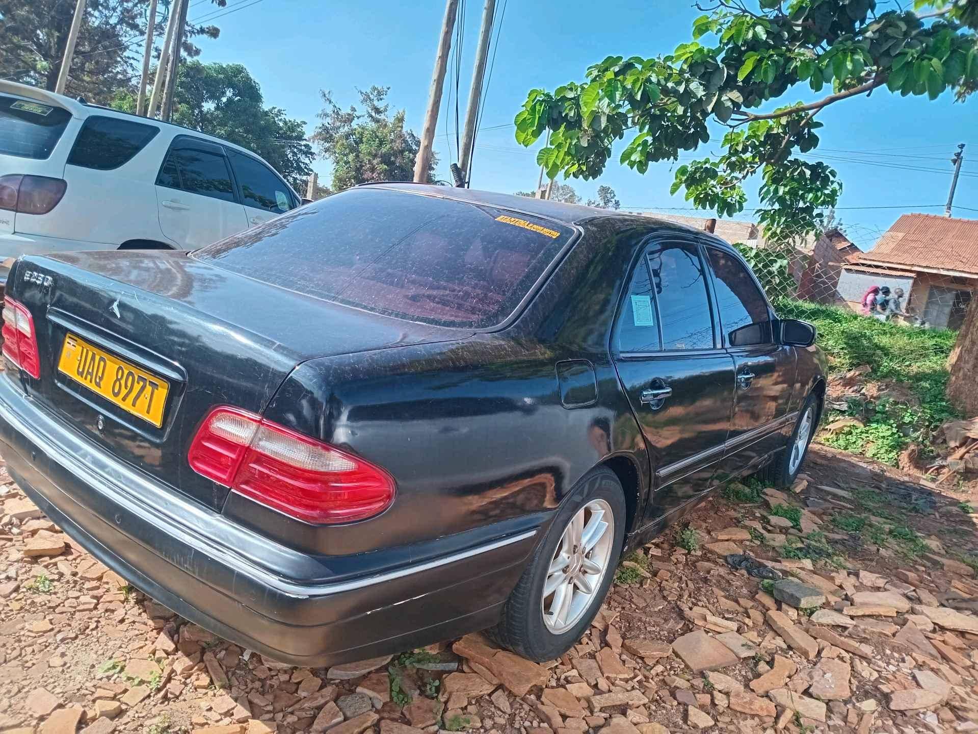 car's for sale