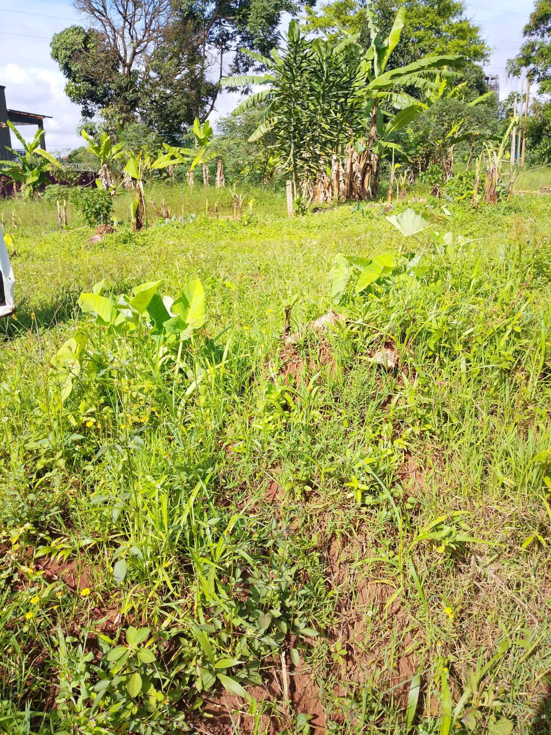 50by100plots on sale