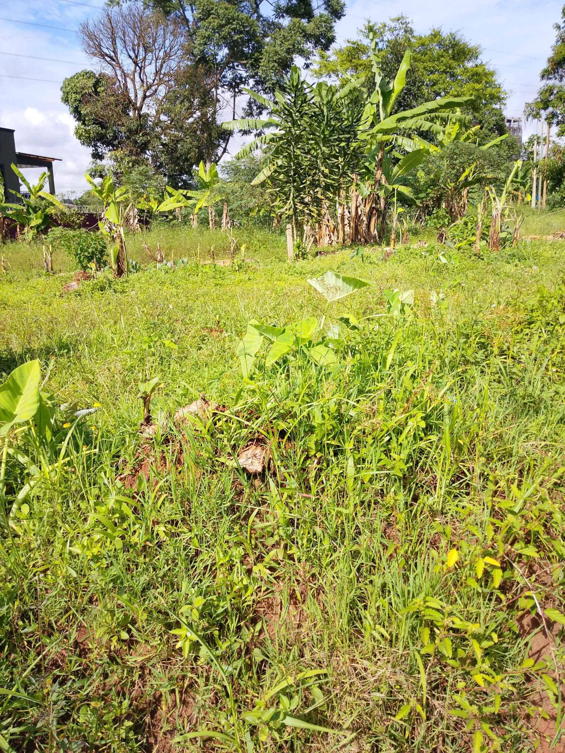 50by100plots on sale