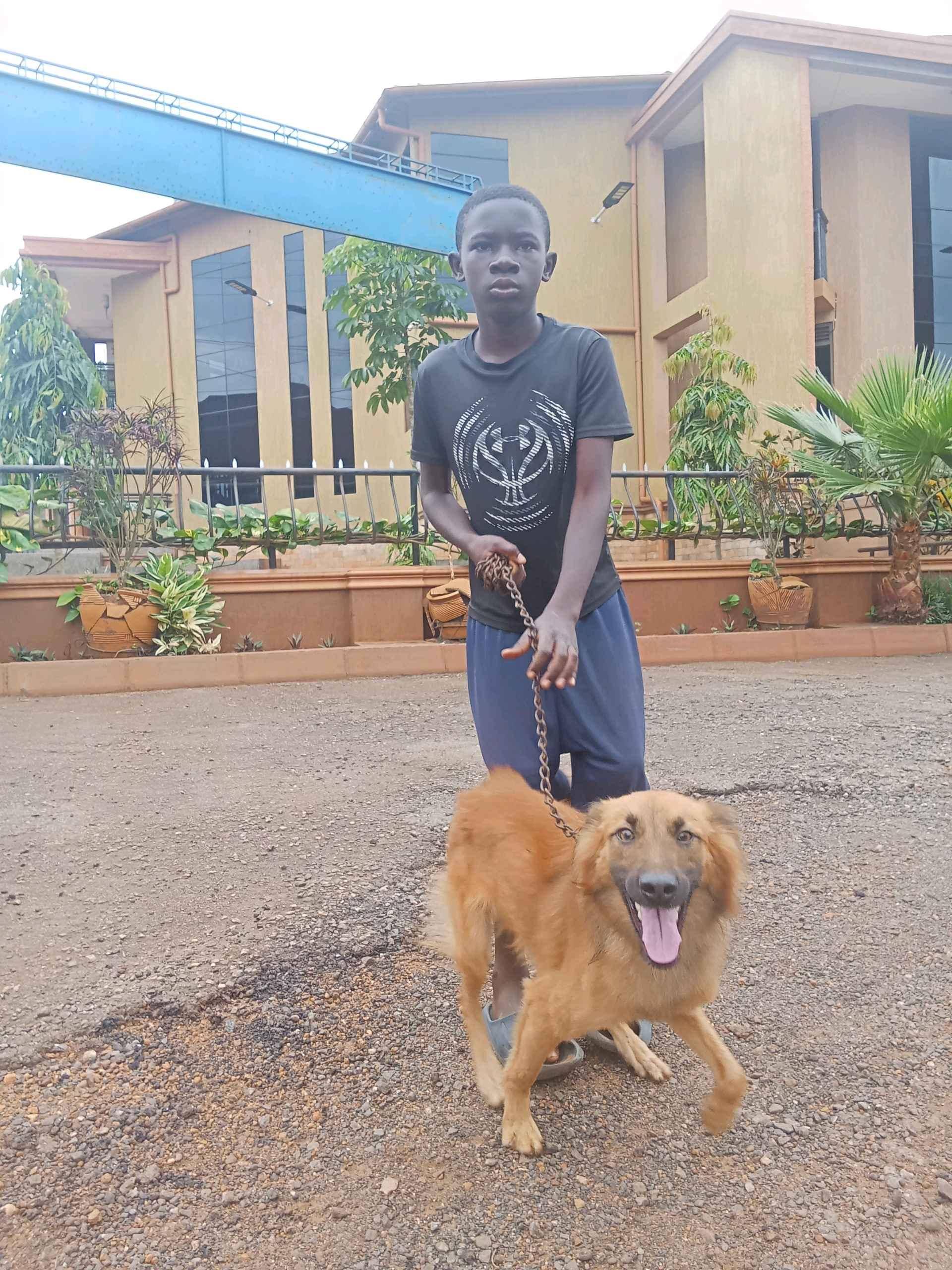 Come all and get your dog