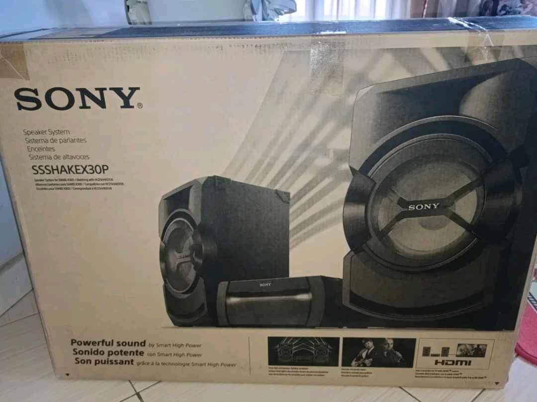 Shark music system