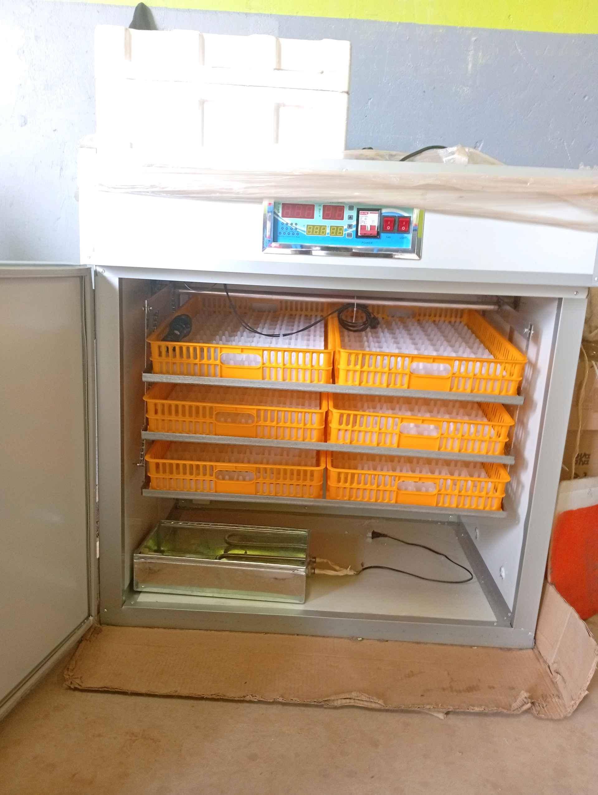 528 eggs imported incubator