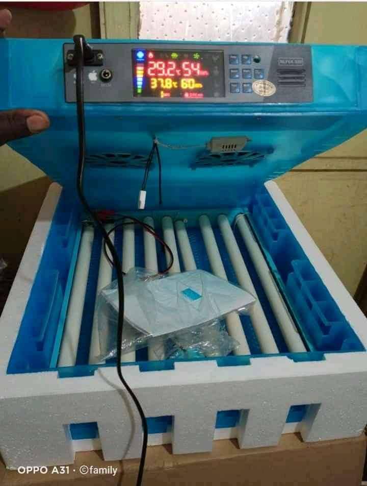 automatic egg incubators