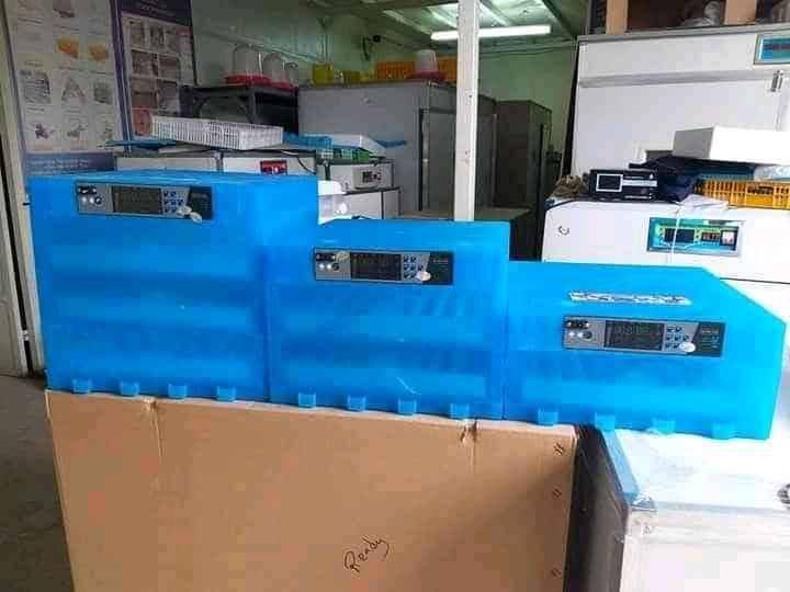 automatic egg incubators