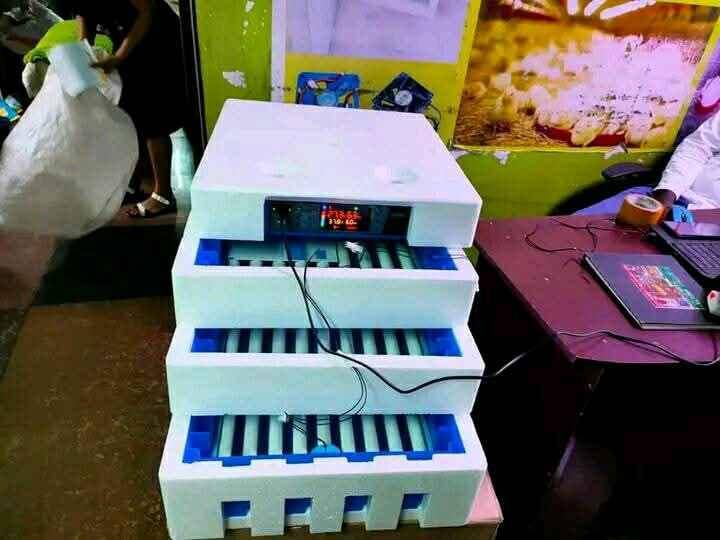 automatic egg incubators