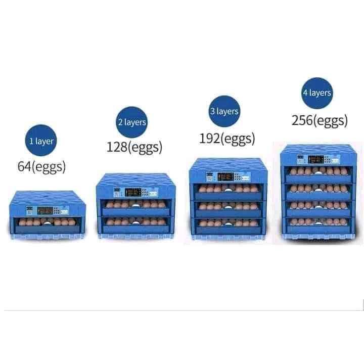 automatic egg incubators