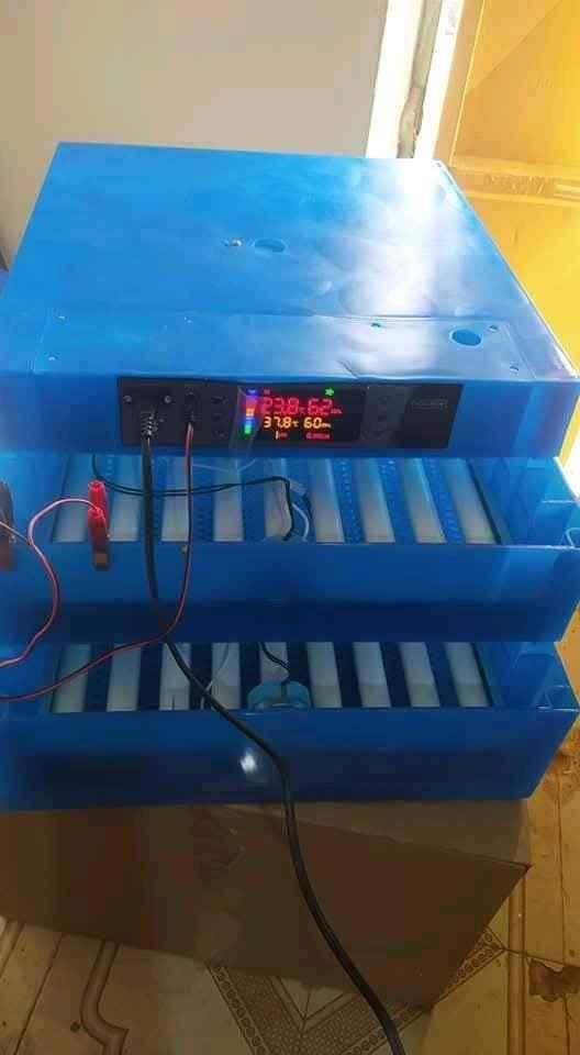 automatic egg incubators
