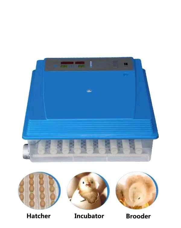 automatic egg incubators