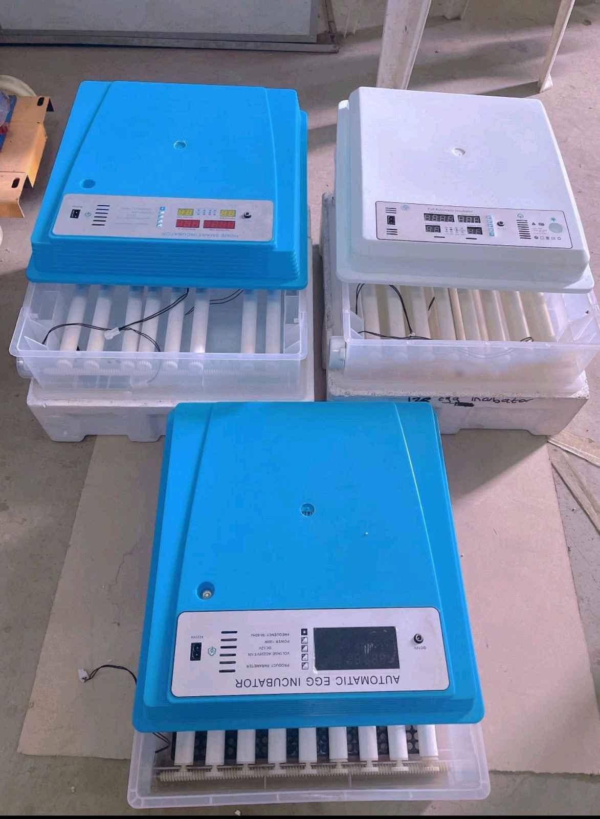 automatic egg incubators