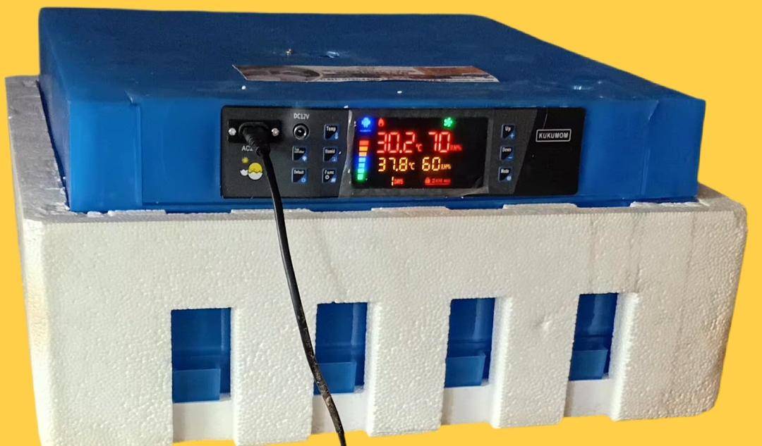 64 automatic egg incubators 