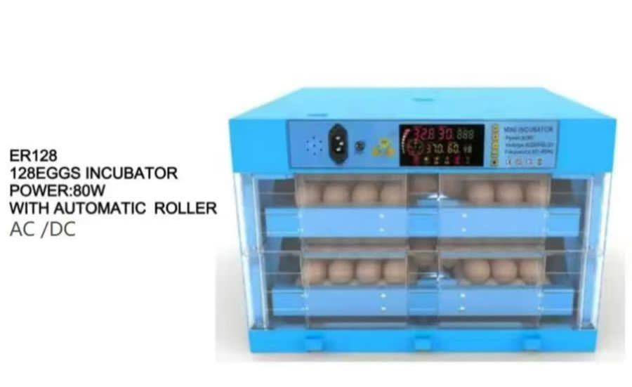 128 eggs incubator 