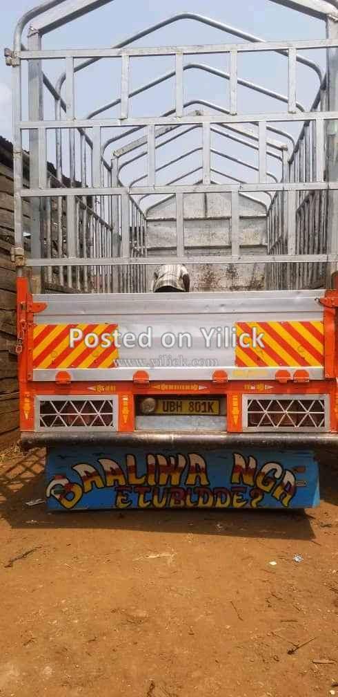 Fuso, Trucks isuzu elf and forward all available