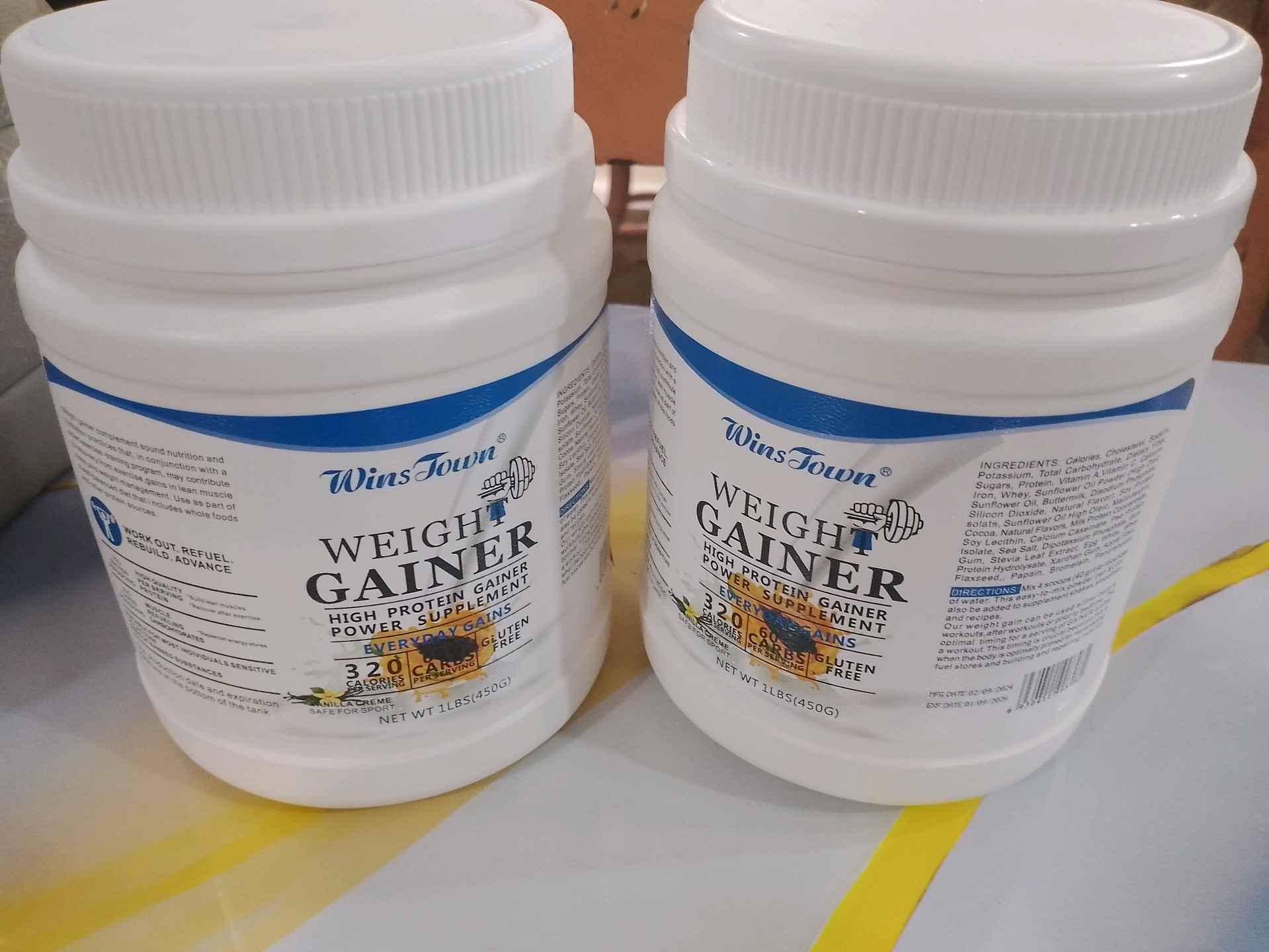 Wins Town Weight Gainer Powder 450g