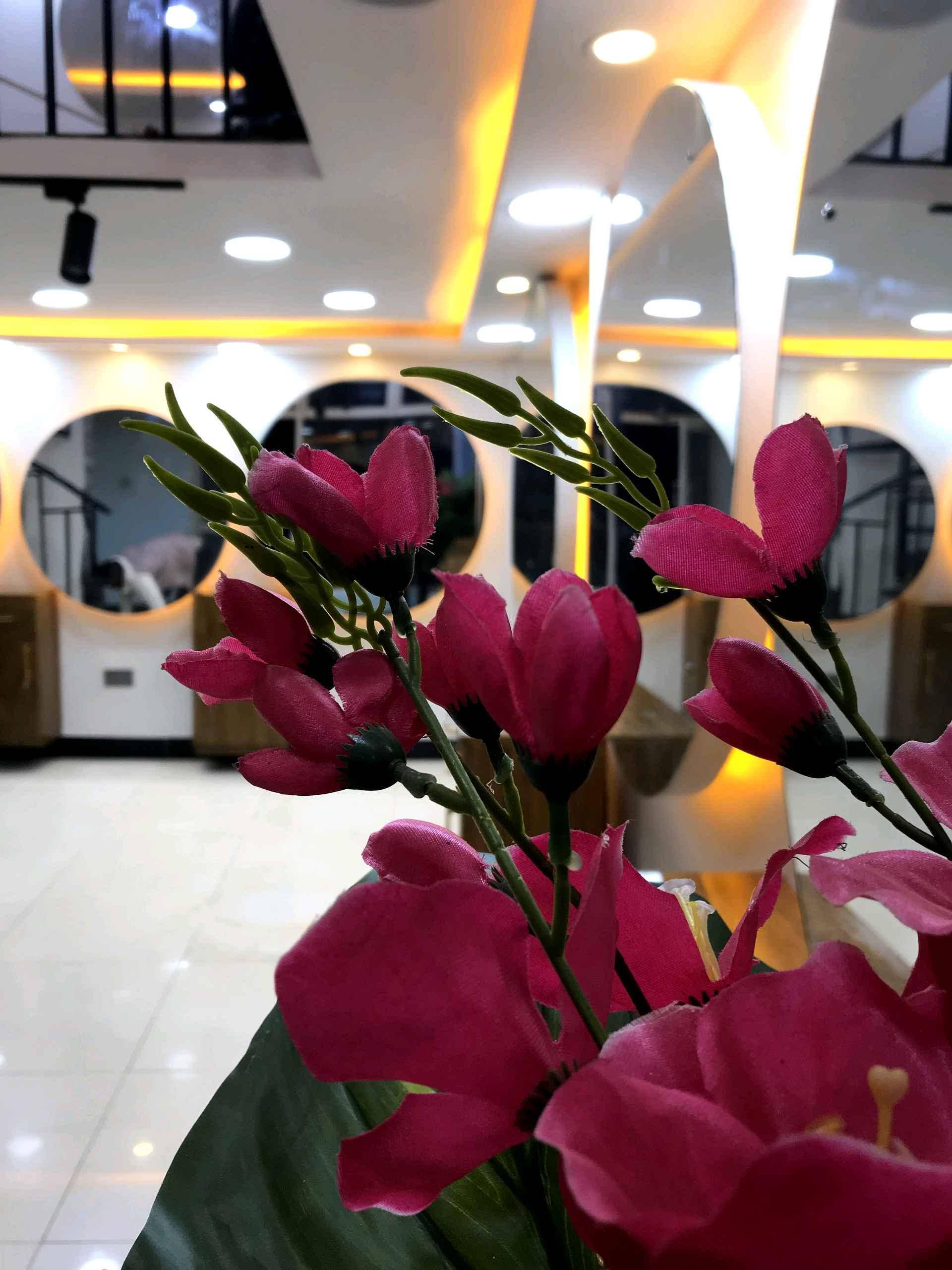 saloon decoration and designing