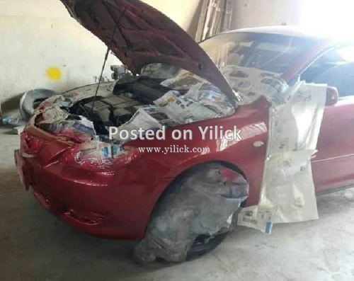 Motor vehicle painting