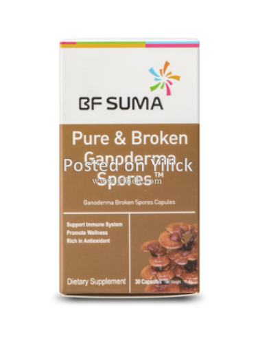 Pure and broken ganoderma spores.