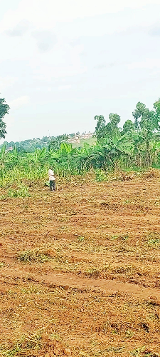 NAMAYUMBA TITLED PLOTS NEAR TARMAC